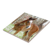 2CUTE馬の子馬のベビーの子馬 タイル (側面)