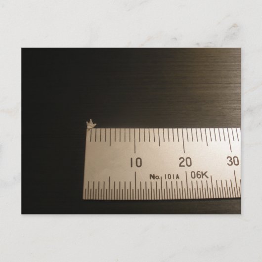 2mm折り紙クレーン ポストカード (正面)