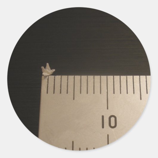 2mm折り鶴 ラウンドシール (正面)