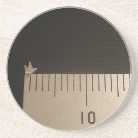 2mm Origamiクレーン コースター (正面)