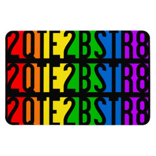 2QTE2BSTR8磁石 マグネット
