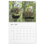 2yr. カレンダーまたはタカの開発ロバートE. Weiss カレンダー (3月 2026)