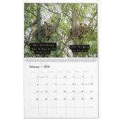 2yr. カレンダーまたはタカの開発ロバートE. Weiss カレンダー (2月 2026)