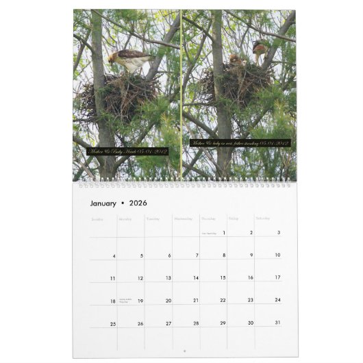 2yr. カレンダーまたはタカの開発ロバートE. Weiss カレンダー (1月 2026)