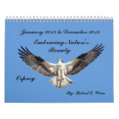 2yr. Jan.2013を始めているカレンダーのdeplicting鳥 カレンダー (カバー)