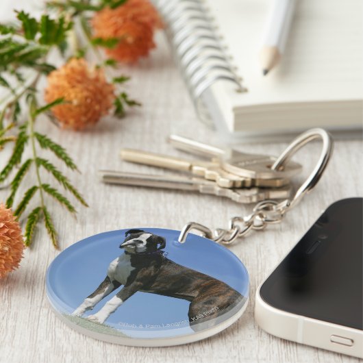 3か月の古いボクサーの子犬 キーホルダー (正面右)