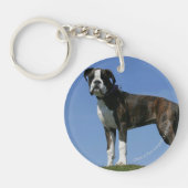 3か月の古いボクサーの子犬 キーホルダー (正面)