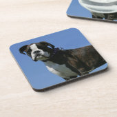 3か月の古いボクサーの子犬 コースター (左側)