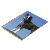 3か月の古いボクサーの子犬 ノートブック (左側)