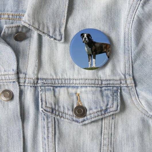 3か月の古いボクサーの子犬 缶バッジ (インサイチュ)