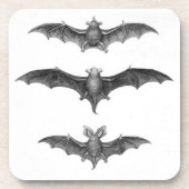 3こうもりヴィンテージアートプリントコースターセット コースター (正面)
