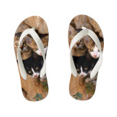 3つのかわいく好奇心が強い猫の子ネコの顔のおもしろいな写真* キッズビーチサンダル (フットベッド)