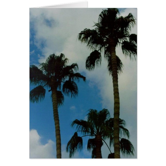 3つのやし (正面)