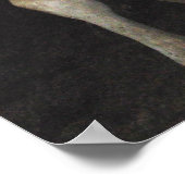 3つのアミゴス – 牛の野生の西芸術を見る ポスター (角)