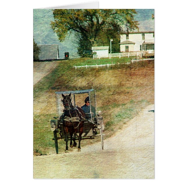 3つのアミッシュ乳母車 (正面)