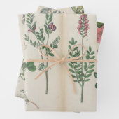 3つのアンティーク植物芸術プリントのセット ラッピングペーパーシート (インサイチュ)