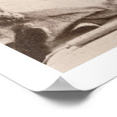 3つのインディアンブラブ、エン撮影王室の済み ポスター (角)