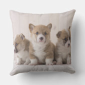 3つのウェルシュコーギー クッション (裏面)