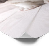 3つのウェルシュコーギー ポスター (角)