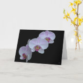 3つのオーキッドのグリーティングカード カード (黄色い花)