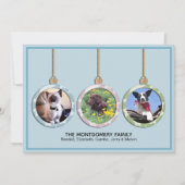 3つのオーナメントペットフォトクリスマスホリデー シーズンカード (正面)