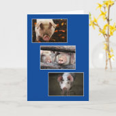 3つのカスタムピグ誕生日 カード (黄色い花)