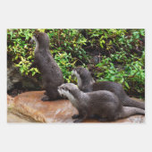 3つのカワウソ，ギフトラッピング，デコパージュ，シート， ラッピングペーパーシート (正面3)