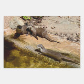 3つのカワウソ，ギフトラッピング，デコパージュ，シート， ラッピングペーパーシート (正面2)
