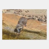 3つのカワウソ，ギフトラッピング，デコパージュ，シート， ラッピングペーパーシート (正面)