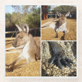 3つのカンガルー画像コラージュ、ガラスコースター ガラスコースター (正面)