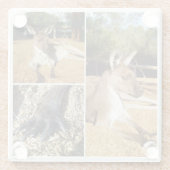 3つのカンガルー画像コラージュ、ガラスコースター ガラスコースター (裏面)