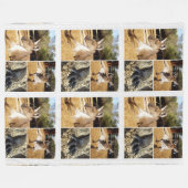 3つのカンガルー画像コラージュ、ルジェフリースブランケット フリースブランケット (正面(横))