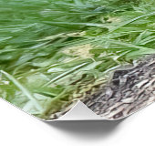 3つのキツネキット ポスター (コーナー)