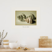 3つのシーシェル～写真プリント ポスター (キッチン)