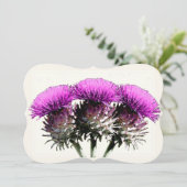 3つのスコットランドのチーズル カード (スタンド正面)