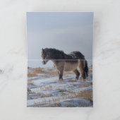 3つのスノーバイバーグリーティングカード サンキューカード (内部)