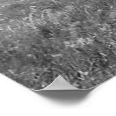 3つのチーフPiegan Blackfeetネイティブアメリカン ポスター (角)