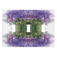 3つのトグルスイッチのプレート