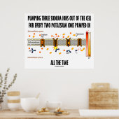 3つのナトリウムイオンを細胞から汲み出す(Na-Kポンプ) ポスター (キッチン)