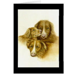 3つのノバスコシアダックトレレトリバーカード