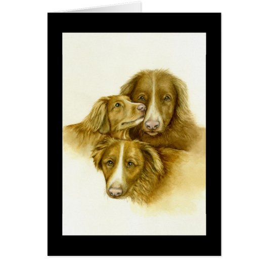 3つのノバスコシアダックトレレトリバーカード (正面)