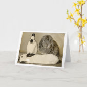 3つのバニーの挨拶状 カード (黄色い花)