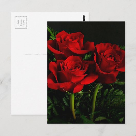 3つのバラ ポストカード (正面/裏面)