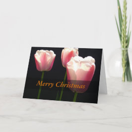 3つのピンクのチューリップの花。クリスマス、休日。 シーズンカード