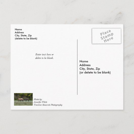 3つのブルElkの考え戦いのハガキ ポストカード (裏面)