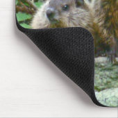 3つのベビーグラウンドホグ マウスパッド (コーナー)