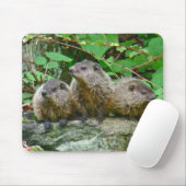 3つのベビーグラウンドホグ マウスパッド (マウス)