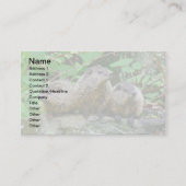 3つのベビーグラウンドホグ 名刺 (正面)