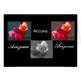 3つのペンステモンの花、アリゾナ