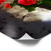 3つのポットのゲラニウムの窓枠 ポスター (コーナー)